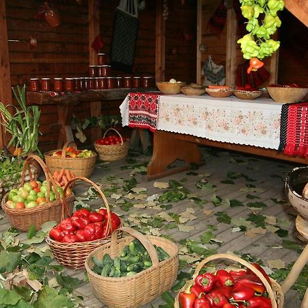 Motel Casa Olteneasca Râmnicu Vâlcea Exteriér fotografie